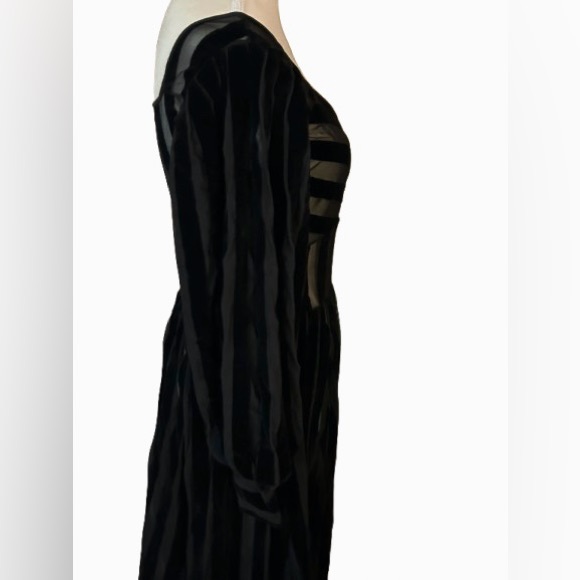 Foxblood Medium Velvet Velour Striped Sheer Gown Peasant Gothic Vintage Maxi - Picture 12 of 16